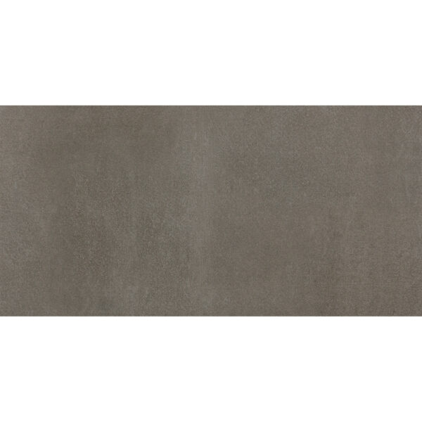 Museum Taupe 30x60 1
